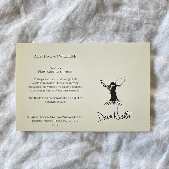 Australian Wildlife Photography Greeting Cards - Picture 10 of 16